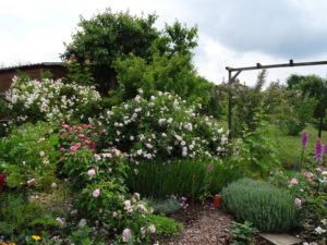 Garten Impressionen Steinertsberg Gera