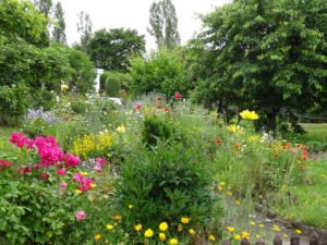 Garten Impressionen Steinertsberg Gera