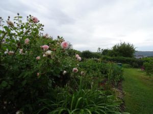 Garten Impressionen Steinertsberg Gera